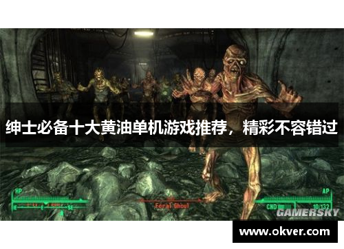 绅士必备十大黄油单机游戏推荐，精彩不容错过
